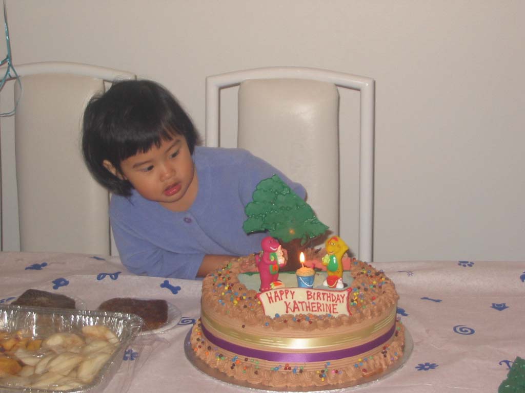 116-1699_IMG