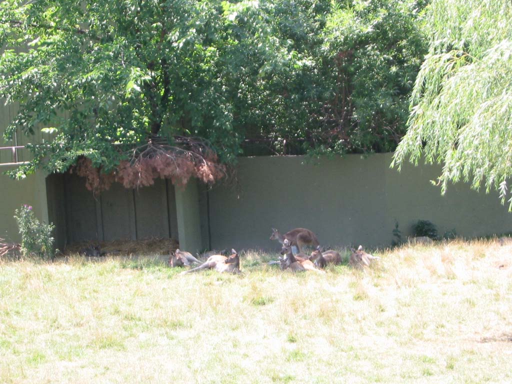115-1530_IMG
