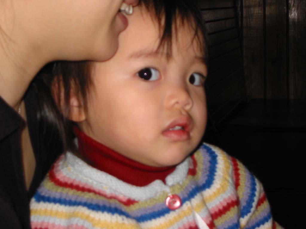 119-1981_IMG
