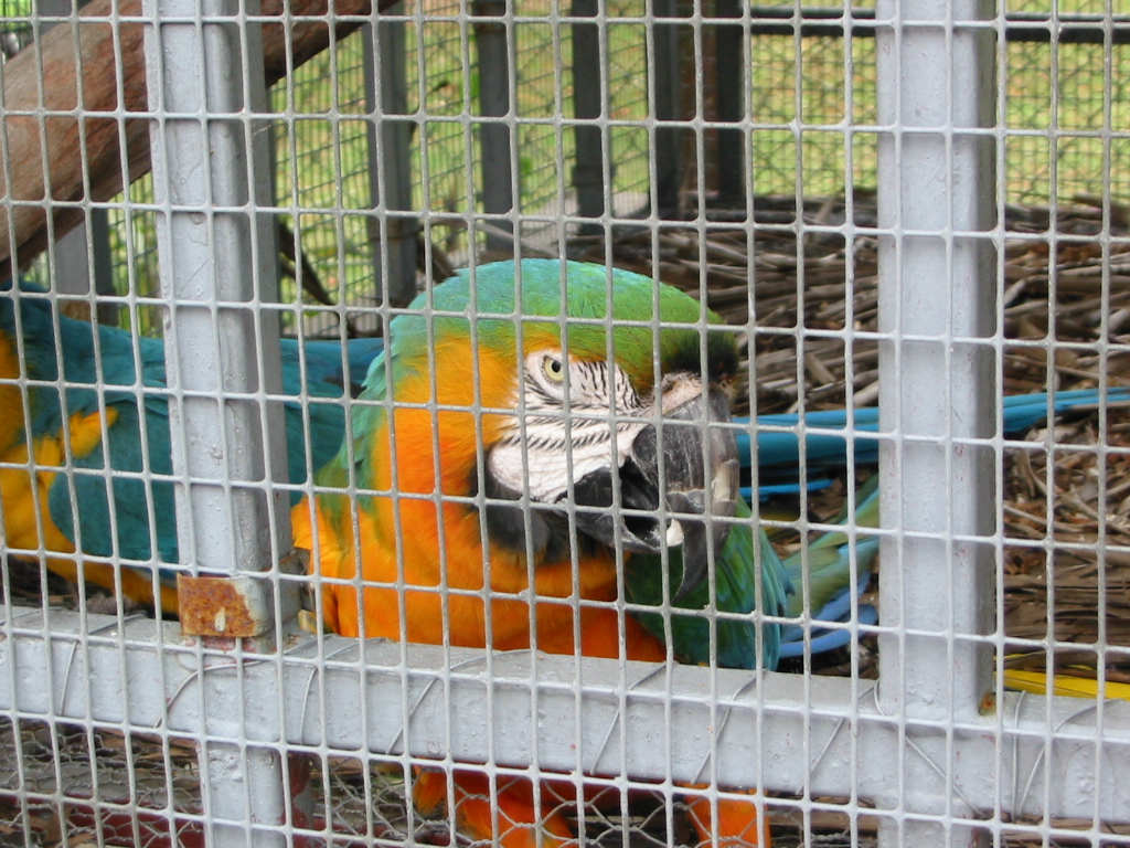 121-2172_IMG
